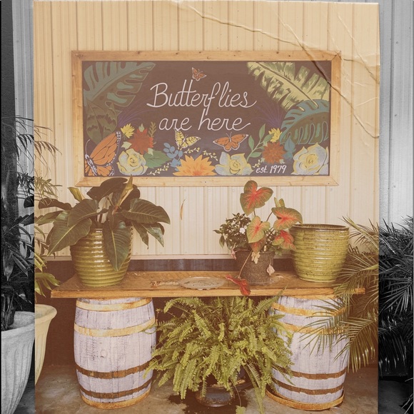 Meet your Posher, Gabrielle - Picture 1 of 1